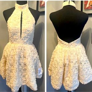 NWOT- ASOS Luxe 3D floral hater dress